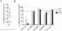 Fig. 01 - COMPOSITION, CULTURE MEDIUM AND METHOD FOR INDUCING AND/OR AMPLIFYING TSCM IN VITRO