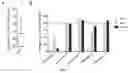 Fig. 02 - COMPOSITION, CULTURE MEDIUM AND METHOD FOR INDUCING AND/OR AMPLIFYING TSCM IN VITRO