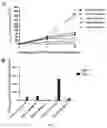 Fig. 03 - COMPOSITION, CULTURE MEDIUM AND METHOD FOR INDUCING AND/OR AMPLIFYING TSCM IN VITRO
