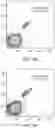 Fig. 05 - T cell manufacturing compositions and methods