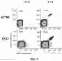 Fig. 07 - T cell manufacturing compositions and methods