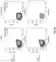 Fig. 12 - T cell manufacturing compositions and methods