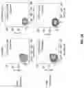 Fig. 14 - T cell manufacturing compositions and methods