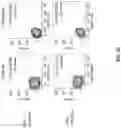 Fig. 15 - T cell manufacturing compositions and methods