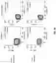 Fig. 16 - T cell manufacturing compositions and methods