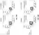 Fig. 19 - T cell manufacturing compositions and methods