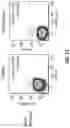 Fig. 21 - T cell manufacturing compositions and methods