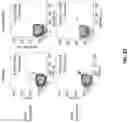 Fig. 22 - T cell manufacturing compositions and methods