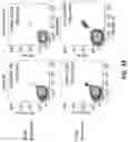 Fig. 23 - T cell manufacturing compositions and methods