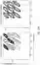 Fig. 27 - T cell manufacturing compositions and methods