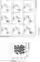 Fig. 28 - T cell manufacturing compositions and methods