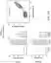 Fig. 40 - T cell manufacturing compositions and methods