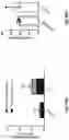 Fig. 49 - T cell manufacturing compositions and methods
