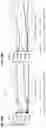 Fig. 40 - EX VIVO METHODS FOR PRODUCING A T CELL THERAPEUTIC AND RELATED COMPOSITIONS AND METHODS
