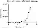 Fig. 01 - Method for long-term ex vivo maintenance or expansion of human erythroblast, human megakaryocyte-erythroid progenitor, or human common myeloid progenitor cell and application thereof