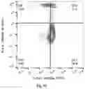 Fig. 09 - Method for long-term ex vivo maintenance or expansion of human erythroblast, human megakaryocyte-erythroid progenitor, or human common myeloid progenitor cell and application thereof