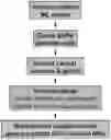 Fig. 01 - COMPOSITIONS AND METHODS FOR INCREASING MEGAKARYOCYTE PRODUCTION