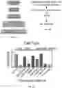 Fig. 02 - COMPOSITIONS AND METHODS FOR INCREASING MEGAKARYOCYTE PRODUCTION