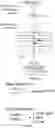 Fig. 05 - COMPOSITIONS AND METHODS FOR INCREASING MEGAKARYOCYTE PRODUCTION