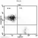 Fig. 05 - ADDITIVE COMPOSITION FOR NK CELL CULTURE MEDIUM, CULTURE METHOD FOR NK CELL BY USING SAME ADDITIVE COMPOSITION, AND COSMETICS COMPOSITION OBTAINED THEREBY FOR IMPROVING SKIN PROBLEMS