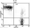 Fig. 06 - ADDITIVE COMPOSITION FOR NK CELL CULTURE MEDIUM, CULTURE METHOD FOR NK CELL BY USING SAME ADDITIVE COMPOSITION, AND COSMETICS COMPOSITION OBTAINED THEREBY FOR IMPROVING SKIN PROBLEMS