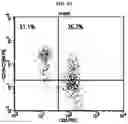 Fig. 07 - ADDITIVE COMPOSITION FOR NK CELL CULTURE MEDIUM, CULTURE METHOD FOR NK CELL BY USING SAME ADDITIVE COMPOSITION, AND COSMETICS COMPOSITION OBTAINED THEREBY FOR IMPROVING SKIN PROBLEMS