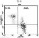 Fig. 08 - ADDITIVE COMPOSITION FOR NK CELL CULTURE MEDIUM, CULTURE METHOD FOR NK CELL BY USING SAME ADDITIVE COMPOSITION, AND COSMETICS COMPOSITION OBTAINED THEREBY FOR IMPROVING SKIN PROBLEMS