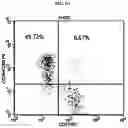 Fig. 09 - ADDITIVE COMPOSITION FOR NK CELL CULTURE MEDIUM, CULTURE METHOD FOR NK CELL BY USING SAME ADDITIVE COMPOSITION, AND COSMETICS COMPOSITION OBTAINED THEREBY FOR IMPROVING SKIN PROBLEMS