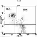 Fig. 10 - ADDITIVE COMPOSITION FOR NK CELL CULTURE MEDIUM, CULTURE METHOD FOR NK CELL BY USING SAME ADDITIVE COMPOSITION, AND COSMETICS COMPOSITION OBTAINED THEREBY FOR IMPROVING SKIN PROBLEMS