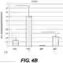 Fig. 12 - Production of red blood cells and platelets from stem cells
