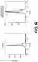 Fig. 21 - Production of red blood cells and platelets from stem cells