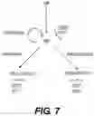 Fig. 23 - Production of red blood cells and platelets from stem cells