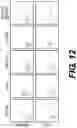 Fig. 30 - Production of red blood cells and platelets from stem cells