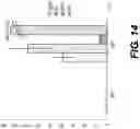 Fig. 32 - Production of red blood cells and platelets from stem cells
