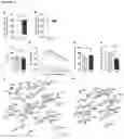 Fig. 06 - Genome-edited induced pluripotent stem cells, and cells derived therefrom, and uses thereof