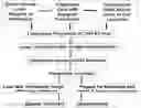 Fig. 01 - Platform for generating safe cell therapeutics