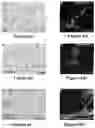 Fig. 08 - Platform for generating safe cell therapeutics