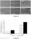 Fig. 10 - Platform for generating safe cell therapeutics