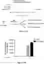 Fig. 17 - Platform for generating safe cell therapeutics