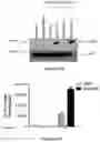 Fig. 18 - Platform for generating safe cell therapeutics