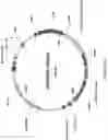 Fig. 22 - Platform for generating safe cell therapeutics