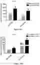 Fig. 28 - Platform for generating safe cell therapeutics