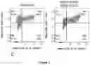 Fig. 03 - GENERATION OF PANCREATIC ENDODERM FROM STEM CELL DERIVED DEFINITIVE ENDODERM