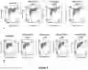 Fig. 07 - GENERATION OF PANCREATIC ENDODERM FROM STEM CELL DERIVED DEFINITIVE ENDODERM
