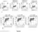 Fig. 08 - GENERATION OF PANCREATIC ENDODERM FROM STEM CELL DERIVED DEFINITIVE ENDODERM