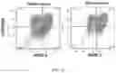 Fig. 04 - Methods for generating stem cell-derived β cells and methods of use thereof