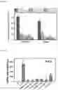 Fig. 03 - METHOD FOR INDUCING DIRECT REPROGRAMMING OF URINE CELL INTO RENAL PROGENITOR CELL AND PHARMACEUTICAL COMPOSITION CONTAINING REPROGRAMMED RENAL PROGENITOR CELL