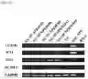 Fig. 05 - METHOD FOR INDUCING DIRECT REPROGRAMMING OF URINE CELL INTO RENAL PROGENITOR CELL AND PHARMACEUTICAL COMPOSITION CONTAINING REPROGRAMMED RENAL PROGENITOR CELL