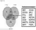 Fig. 17 - METHOD FOR INDUCING DIRECT REPROGRAMMING OF URINE CELL INTO RENAL PROGENITOR CELL AND PHARMACEUTICAL COMPOSITION CONTAINING REPROGRAMMED RENAL PROGENITOR CELL