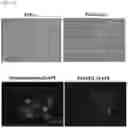 Fig. 20 - METHOD FOR INDUCING DIRECT REPROGRAMMING OF URINE CELL INTO RENAL PROGENITOR CELL AND PHARMACEUTICAL COMPOSITION CONTAINING REPROGRAMMED RENAL PROGENITOR CELL
